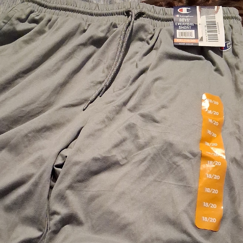 Champion Men's Gray Athletic Shorts